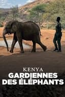 Elephant Guardians of Kenya