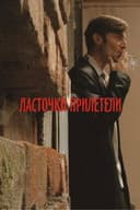 Ласточки прилетели