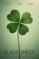 Black Sheep