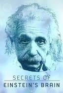 Secrets of Einstein's Brain