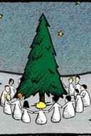 クリスマススター