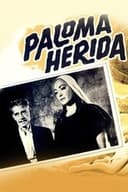 Paloma herida