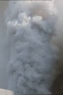 Una lepre con la faccia di bambina