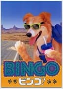 Bingo