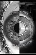 The Past Inside The Present