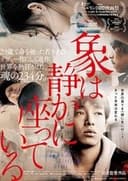 大象席地而坐