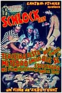 Terceira Festa de Boas Vindas ao Meteoro Amigo que se Espatifará no Planeta Terra no Ano de 2019