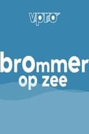 Brommer op zee
