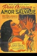 Amor salvaje