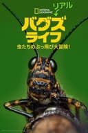 リアル・バグズ・ライフ：虫たちのぶっ飛び大冒険！