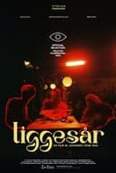 Liggesår