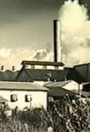 Kahuku: Survival of a Plantation Town