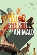 La vie secrète des animaux