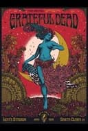 Grateful Dead: 2015.06.27 - Santa Clara, CA
