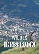 Wildes Innsbruck: Zwischen Moderne und alpiner Wildnis