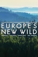 Europe's New Wild