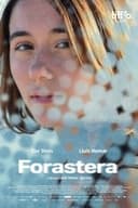 Forastera