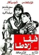 فيفا زلاطا