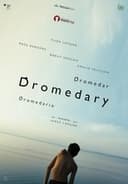 Dromedar