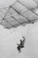 Первые крылья