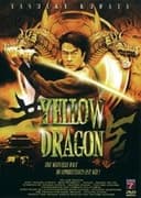 黄龍 イエロードラゴン