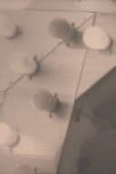 Notes on the Buffalo Conference: “Autobiography in American Independent Cinema”