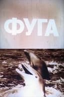 Фуга