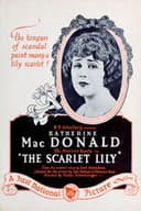 The Scarlet Lily