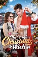 The Virgin Christmas Wish