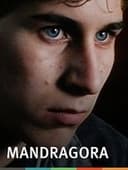 Mandragora