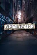 Nemlizade