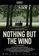 Ništa, samo vjetar