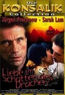 Liebe im Schatten des Drachen