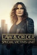 LAW & ORDER： 性犯罪特捜班