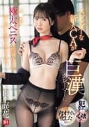 スレンダーな新人CAが巨漢クレーマーに犯され、心壊れ、肉オナホと化した後に… マ●コが極太ペニスに馴染んできてあり得ないほどイキまくった。