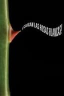 ¡Caigan las rosas blancas!