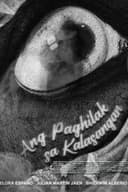 Ang Paghilak sa Kalasangan (Where Green Turns to Grief)