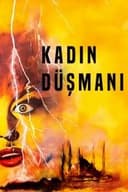 Kadın Düşmanı