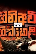 ගිනි අවි සහ ගිනි කෙළි