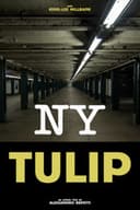 NY Tulip
