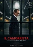 Il camorrista - Una serie di Giuseppe Tornatore