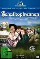 Schafkopfrennen