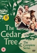 The Cedar Tree