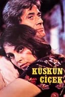 Küskün Çiçek