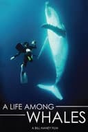 A Life Among Whales