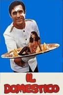 Il domestico
