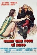 Come una rosa al naso