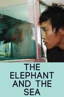 大象与海