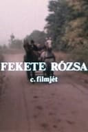 Fekete rózsa