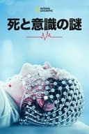 Return From the Dead